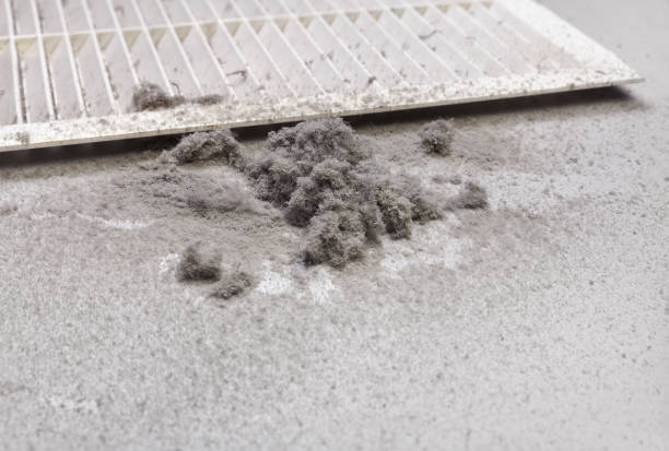 Best Affordable HVAC Duct Cleaning  in Bowling Green, MD