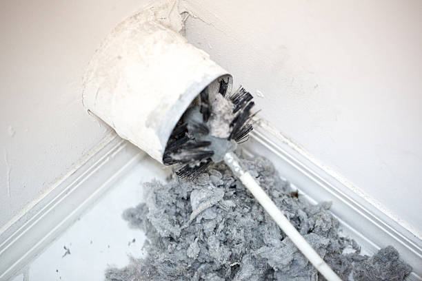 Best Air Duct Mold Removal  in Bowling Green, MD